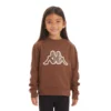 Kids Logo Tape Apet 2 Hoodie - Brown