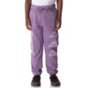 Kids Logo Arsyx Sweatpants - Purple